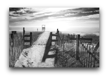 fine art photos
